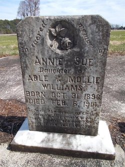 Annie Sue Williams 
