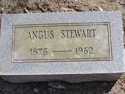 Angus Stewart 