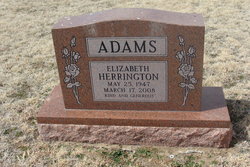 Elizabeth <I>Herrington</I> Adams 