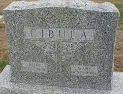 John Cibula 