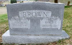 Nancy Ellen “Nannie” <I>Hale</I> Brown 