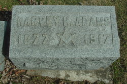 Harvey Hayes Adams 