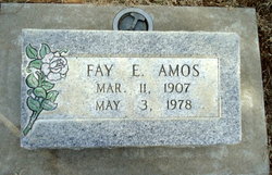 Fay Edward Amos 