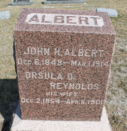 John Henry Albert 