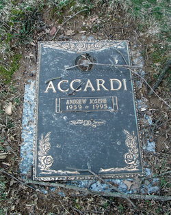 Andrew Joseph Accardi 