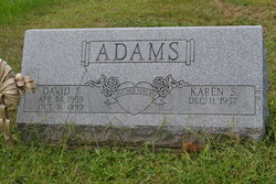 Karen S Adams 