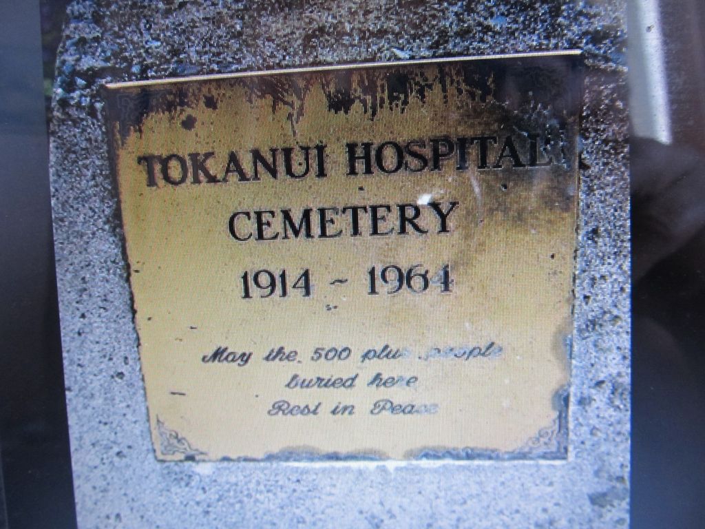 Tokanui Hospital Cemetery
