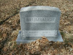 Agnes J. <I>Lightner</I> Brumbaugh 