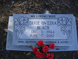 Dixie Ovedia Black 