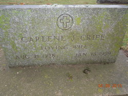 Carlene J. <I>Fowler</I> Cripe 
