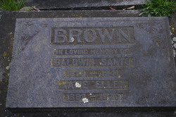 Baldwin Santo Brown 