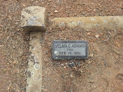 Velma C Adams 