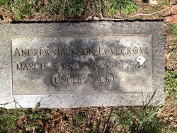 Andrew Jackson Lovegrove 
