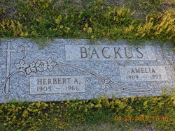 Herbert Allen Backus 