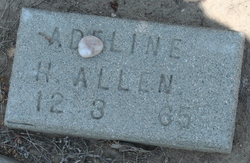 Adeline Henrietta <I>Chilton</I> Allen 