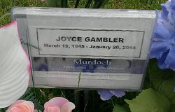 Joyce D. <I>Flewelling</I> Gambler 