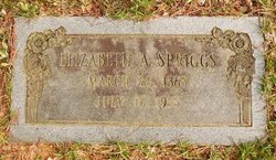 Elizabeth “Lizzie” <I>Allen</I> Spriggs 