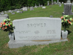 David Leon Brower 