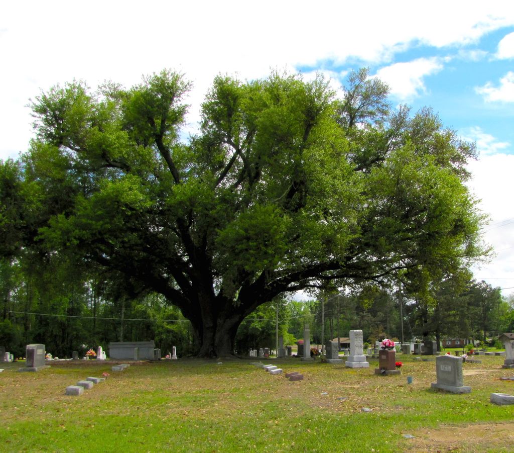 Myrtle Green Cemetery