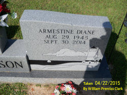 Armestine Diane “Diane” <I>Burdick</I> Wilson 
