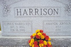 Amanda Elizabeth <I>Johnson</I> Harrison 