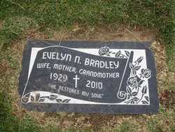 Evelyn N Bradley 