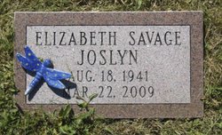 Elizabeth Savage Joslyn 