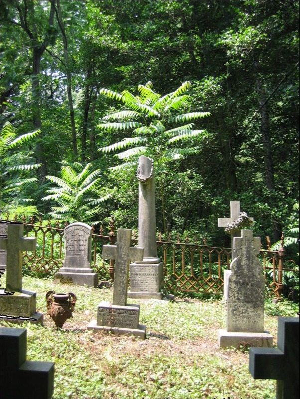 Bernard-Robb Family Cemetery