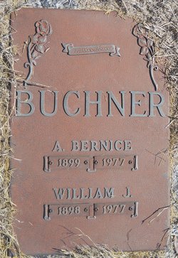 Axa Bernice <I>Commons</I> Buchner 