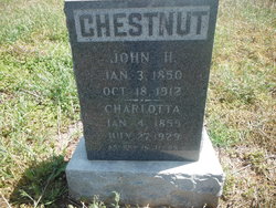 Ben C Chestnut 