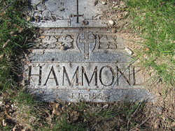 Albert E Hammond 