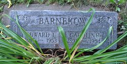 Edward Louis William Barnekow 