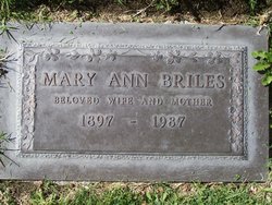 Mary Ann <I>Martin</I> Briles 