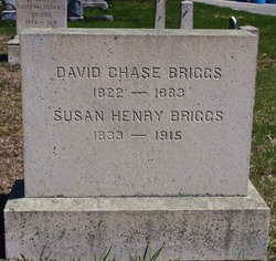 Susan Sophia <I>Henry</I> Briggs 