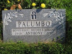 Anthony P Palumbo 