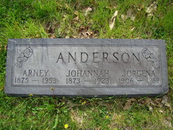 Arney S Anderson 