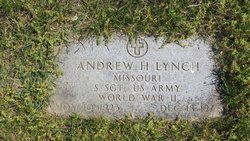 Andrew H Lynch 