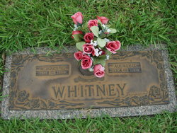 Horace C Whitney 