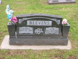 Agnes Blevins 