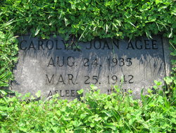 Carolyn Joan Agee 