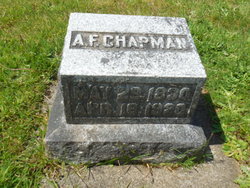 Alexander F Chapman 