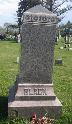 William K Black 