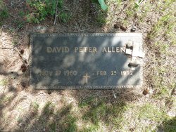 David Peter Allen 