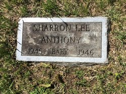Sharron Lee Anthony 