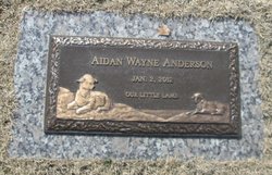 Aidan Wayne Anderson 
