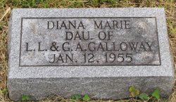 Diana Marie Galloway 