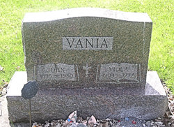 Viola <I>Cayemberg</I> Vania 