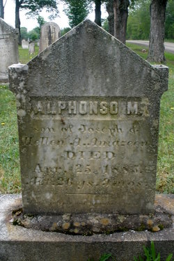 Alphonso M. Amazeen 