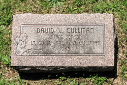 David V Cullman 