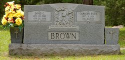David C. Brown 